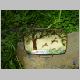 oblong deep tray deer, eagle, turtle, green bare tree_800x600.jpg